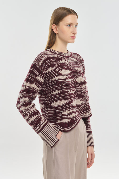 Burgundy & beige extra fine merino pullover