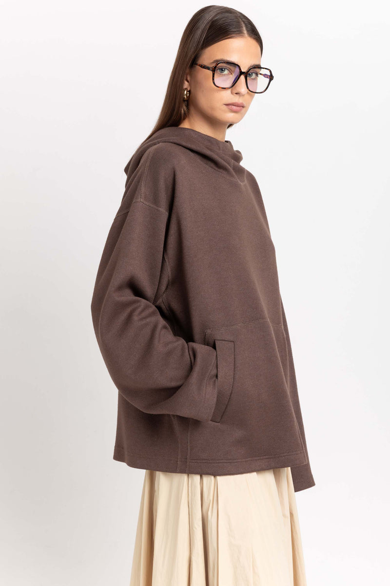 Earth brown unisex hooded sweatshirt