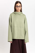 Willow green unisex hooded sweatshirt
